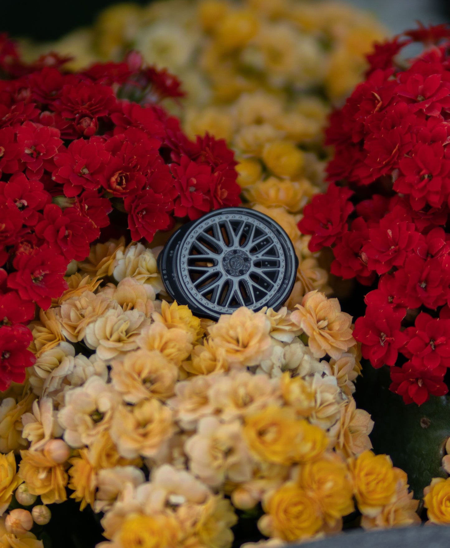 XX Wheel Pin