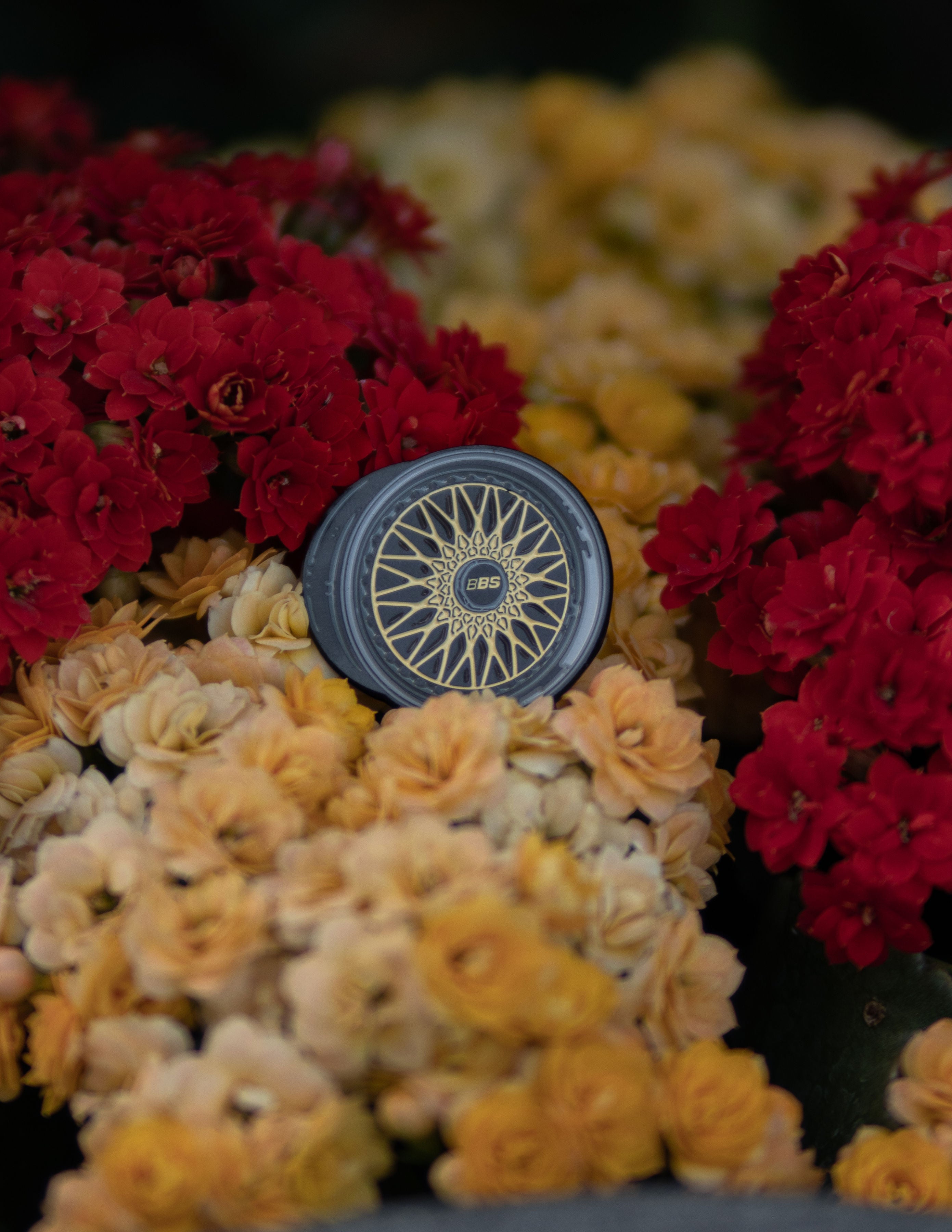 BB Wheel Pin – dreamztworeality